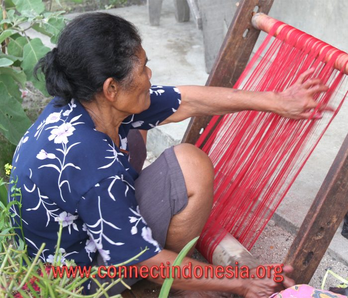 Our Ulos weaving stories from Lake Toba – the region is still actively weaving using back-strap loom.